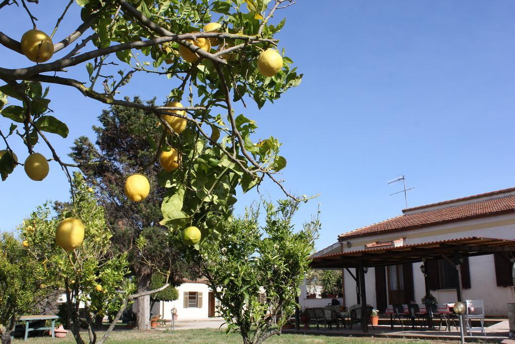 Rita B&B Sea Sun And Nature Santa Maria la Palma Habitación foto